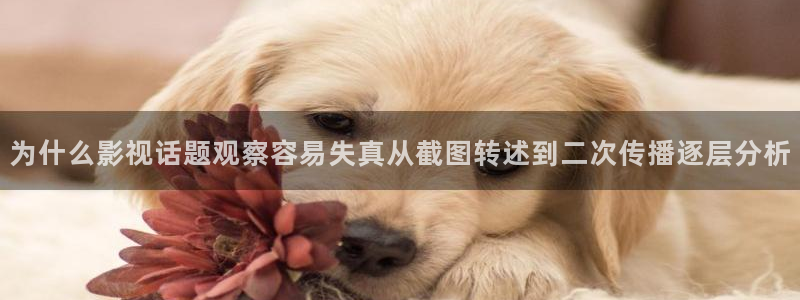 91吃瓜最新动态