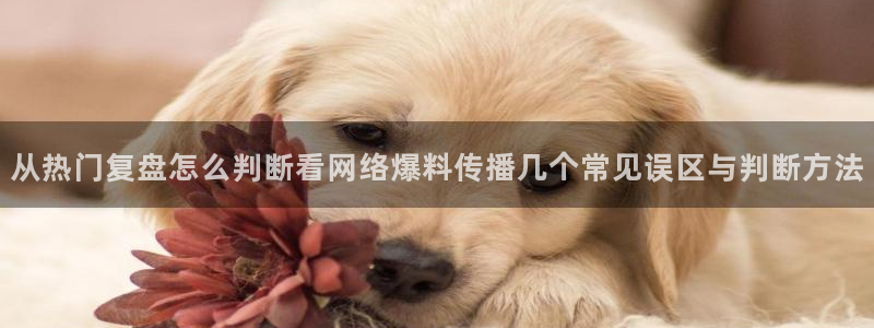 91吃瓜在线入口