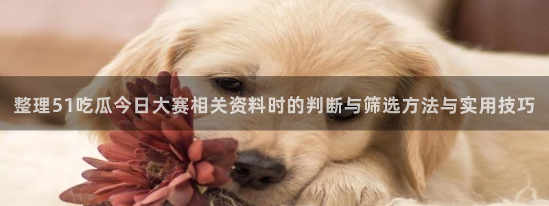 91吃瓜在线观看平台