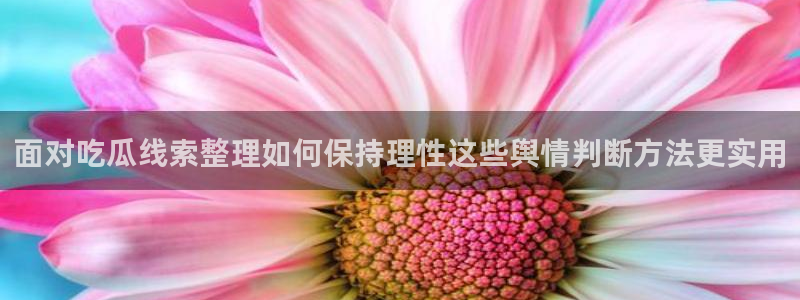 91吃瓜网页地址