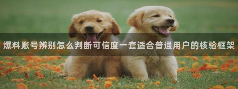 吃瓜网站入口